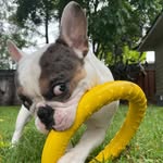 Oliver S. Fuller - @zollieplay - Instagram