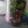 oliverjackfuller - @oliverjackfuller - TikTok