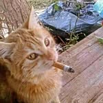 oliver - @oliver.gambles - Instagram