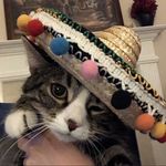 Oliver Garner - @olivecat000 - Instagram