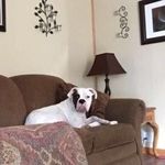Oliver Garner - @o.g._ollie - Instagram