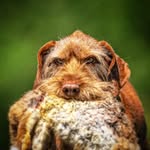 Oliver Gebhardt - @oliver.gebhardt - Instagram
