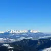 olivergebhardt888 - @olivergebhardt888 - TikTok