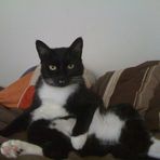 Oliver Gillette - Facebook