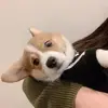olivergilli - @oliver.gill.i - TikTok