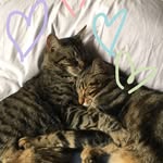 Ginny & Oliver - @ginny_and_oliver - Instagram