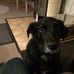 Oliver Glaser - Facebook