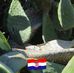 Oliver Glaser - Facebook