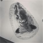 oliver glaser - @glaseroliver4 - Instagram