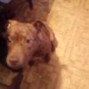 Oliver glover - @oliver.glover - TikTok