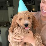 Oliver Sullivan Goldstein - @that_dood_dr.oliver - Instagram