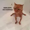 oliver.goldstein - @oliver.goldstein - TikTok