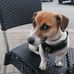 Oliver Graf - Facebook