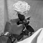 oliver grey - @__oliver_grey__ - Instagram