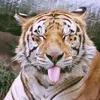 Oliver Grey - @oliver.grey8 - TikTok