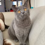 Oliver grey 🤍 - @olivergrey2018 - Instagram
