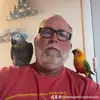 Olivergreybird - @olivergreybird - TikTok