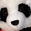Oliver Griffith - @oliverthepanda1 - TikTok