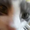 Oliver Degroh - @oliver.degroh - TikTok