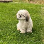 Oliver Groß - @oliver__gro - Instagram