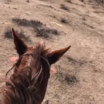 Oliver Gutiérrez - @o.gutierrez11 - Instagram
