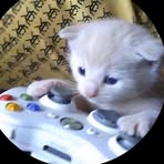 Oliver Gutierrez - Facebook