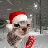 oliver Gutierrez - @oliver.gutirrez863 - TikTok