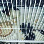 Hampton & Oliver - @_hampton._n_.oliver_ - Instagram