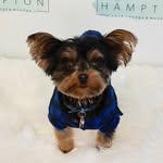 Oliver Hampton - @ollyfans2017 - Instagram