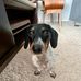 Oliver Han - Facebook