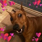 Oliver Han - @theoliviewer - Instagram