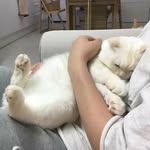 Oliver Hao - @oliverhao2 - Instagram