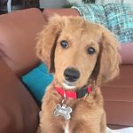 Oliver Harman - @olivers_travelz - Instagram
