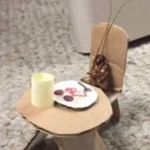 Oliver_Harper - @oliver_is_a_weirdo_ - Instagram