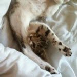 Oliver Harrison - @oliver_harrison - Instagram