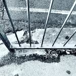 Oliver Harrison - @oliverharrison217 - Instagram