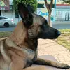 Oliver Hector 31 - @hectormontesinos31 - TikTok