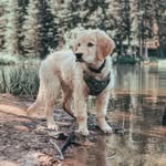 Oliver Heller. - @oliver.hellerr - Instagram