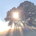 Oliver Heller - @oliverheller1 - Instagram