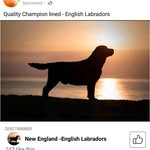 Oliver Heller - @oliverheller58 - Instagram