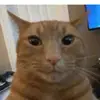 Oliver - @heller_oliver - TikTok