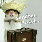 Oliver Hellwig - @ohellwig - Instagram