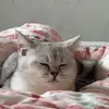 Oliver Hendricks - @oliver.hendricks - TikTok