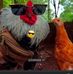 Oliver Hander - Facebook
