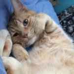 Oliver Hines - @oliverncompany8 - Instagram
