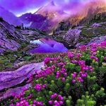 oliver.hines.67 - @oliver.hines.67 - Instagram
