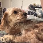 Oliver hobson - @olive.rhobson9 - Instagram