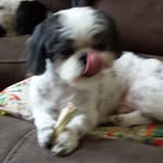 Cynthia Oliver Holman - @cynthiaoliverholman - Instagram