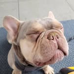 Oliver h - @oliver_holstein33 - Instagram