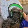 oliverholstein2 - @oliverholstein2 - TikTok